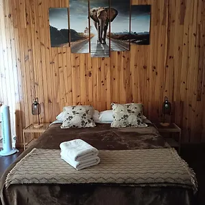 Auberge de jeunesse Tenerife Dreams Coffee&bed, Santa-Cruz de Ténérife